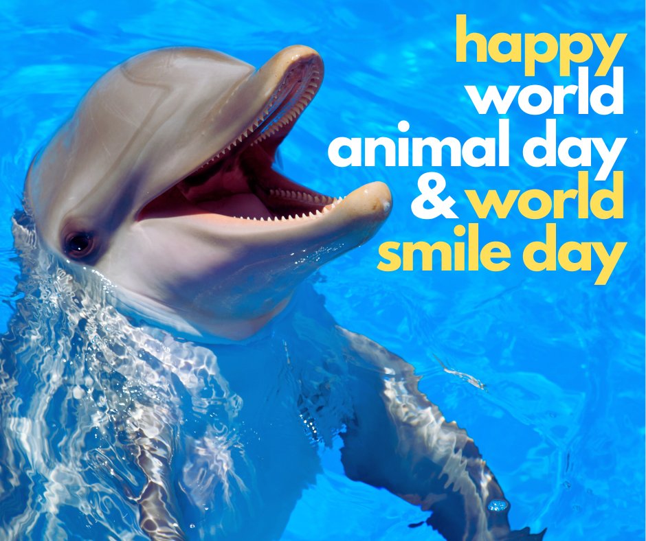 It is World Animal Day &amp; World Smile Day, so I thought you would like to see an animal smiling. Smiling is good for you! #smile #animals #healthy #drekberg #wellnessforlife