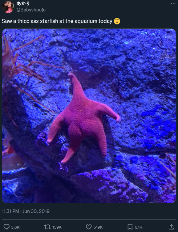 cryptowasta's tweet image. We may have a diabolical cook on our hands that we didnt even know.