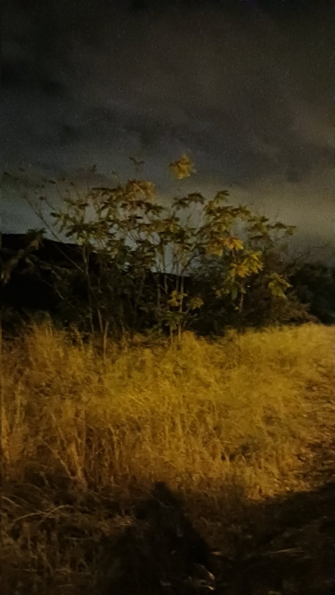 Uno de los métodos más plausibles de esconder la cobardía, es aparentando indiferencia…

#Felizvida a los valientes!