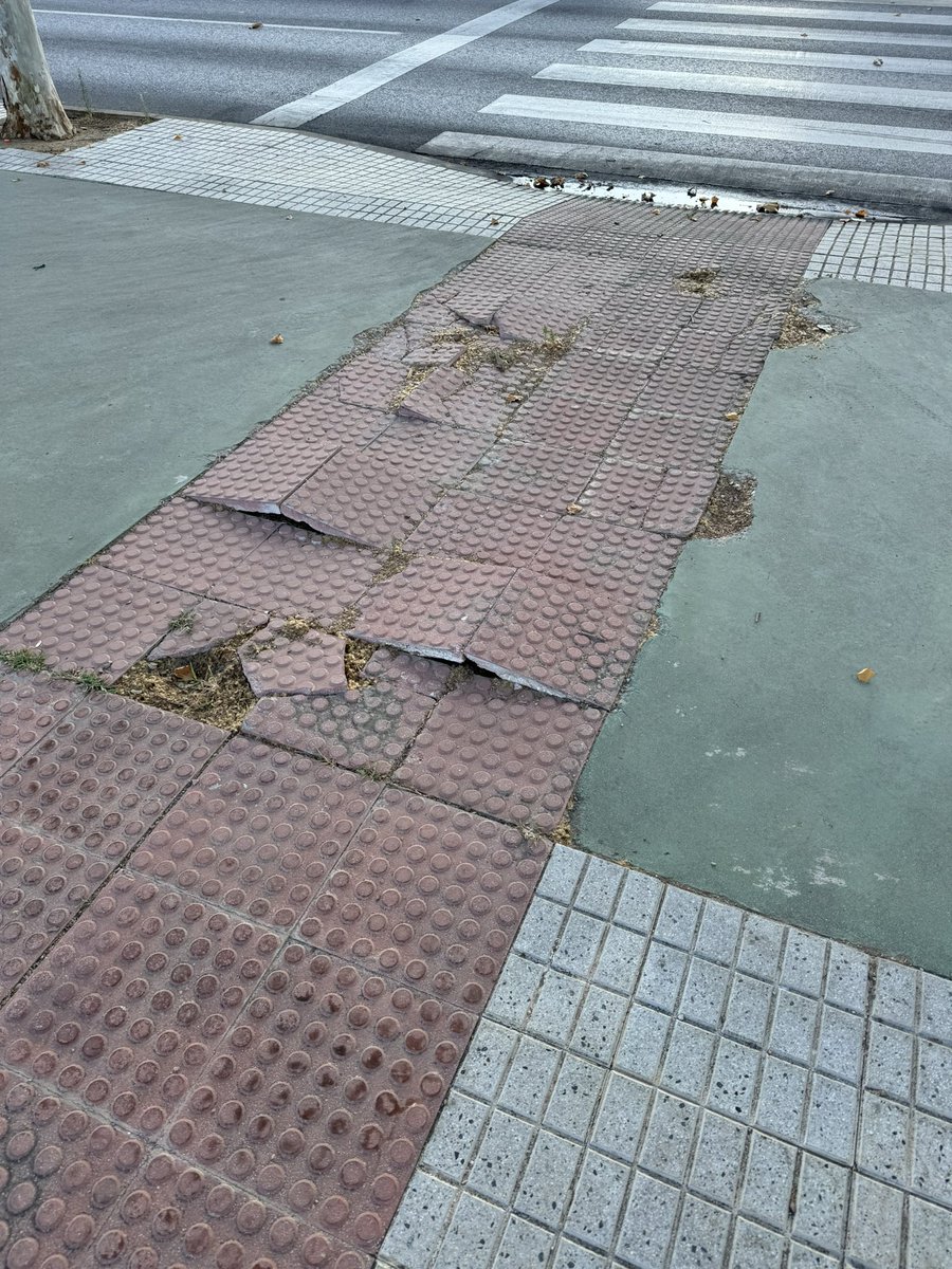 rollandrockss's tweet photo. @Selu_Torres Cuartón Cortijo... A la espera de que suceda algún disgusto... las vallas han echado raíces https://t.co/9TjN3h2jRC