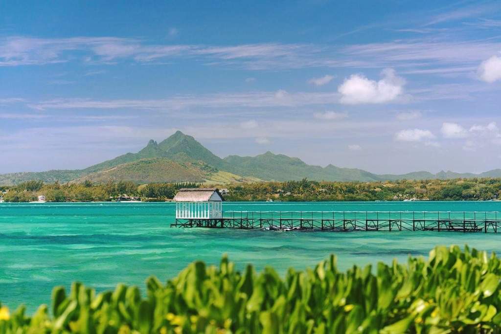 's tweet image. 🔥Sunny, Shiny, Sexy, Strictly Adults-Only Mauritius🔥

🧳Flip-Flops Packed? Mauritius December Deals Loaded!

😍3* Plus Tropical Attitude, Mauritius (Adults Only) – 7 Night Package (Dec 2024)
Availability : 01 - 16 Dec 2024
7 Nights from R26 353 pps
hashtagholidays.co.za/tour/3-plus-tr…
TC's
