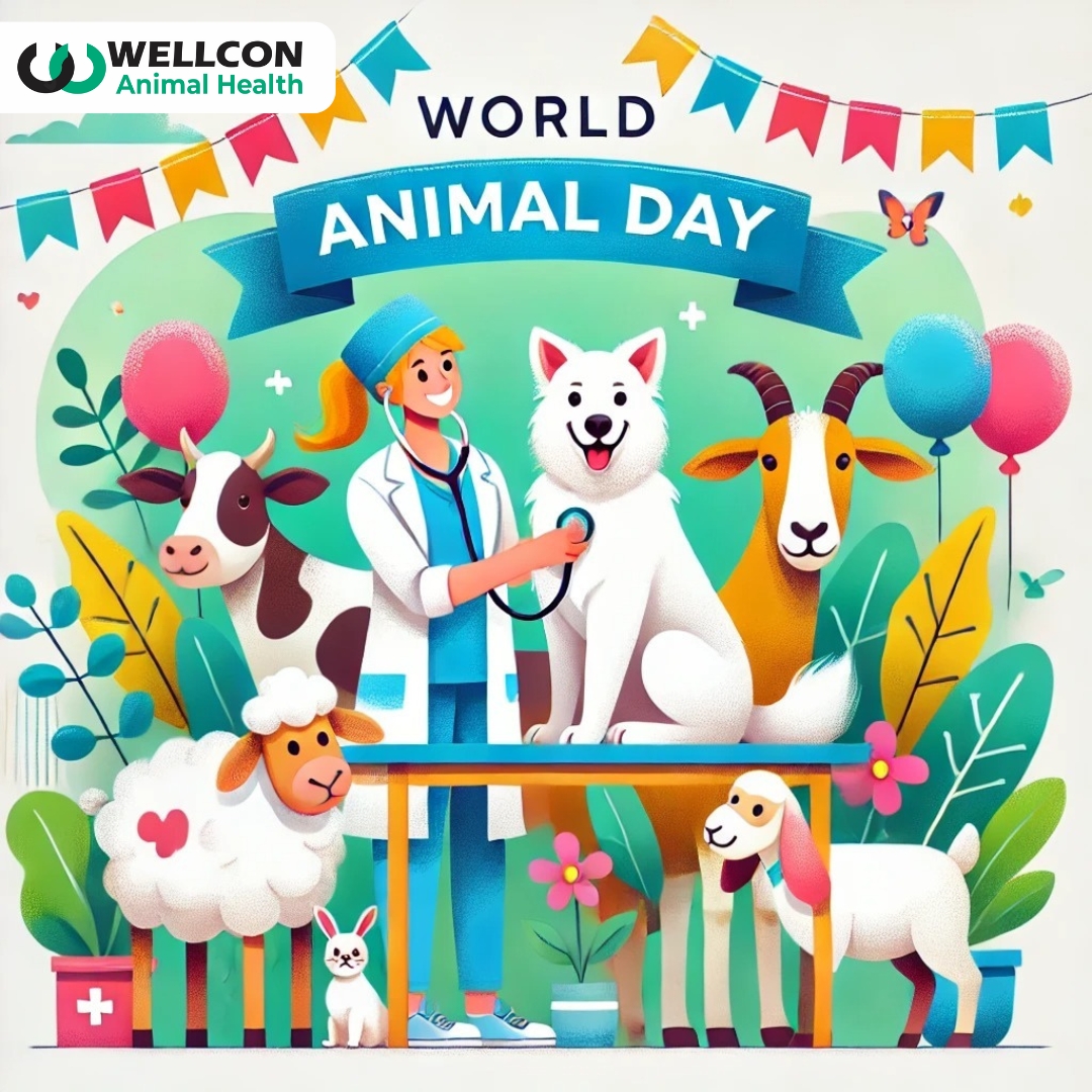 WellconAH's tweet photo. Today, on World Animal Day, we celebrate the incredible diversity of life that shares our planet. It's a day to honor our beloved furry companions, protect endangered species, and promote compassion towards all living beings. https://t.co/OS8ggu7SI5