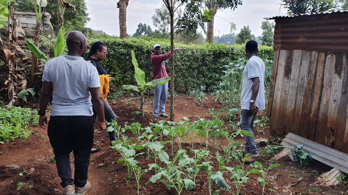 FHIorg256's tweet photo. 🌿✨ Thrilled to welcome @HIAS_Kenya to the Freedom House Initiative Garden! 🤝 Together, we are fostering a safe and inclusive space for refugees and asylum seekers. Your support empowers our community to thrive and grow. 🌍💪 #HIAS #ORAM @freeushiku https://t.co/zRxJSRAkCq