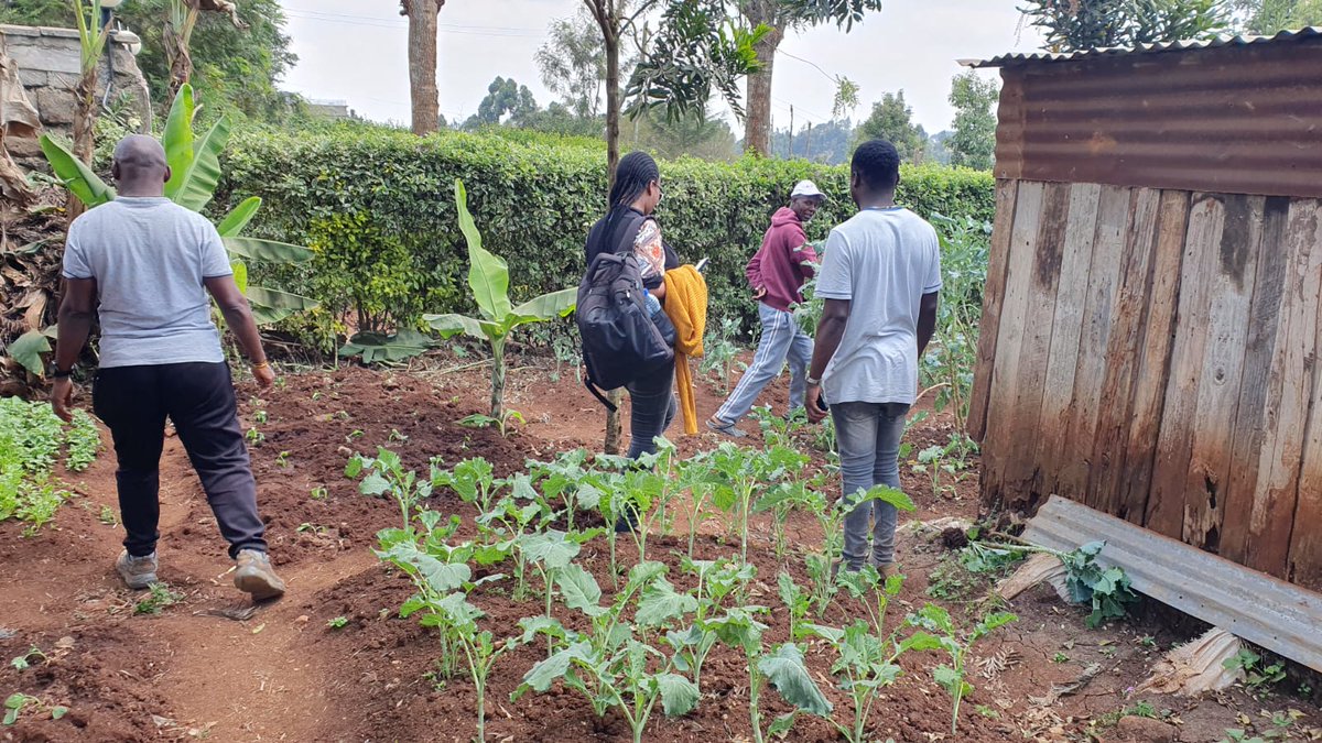 FHIorg256's tweet photo. 🌿✨ Thrilled to welcome @HIAS_Kenya to the Freedom House Initiative Garden! 🤝 Together, we are fostering a safe and inclusive space for refugees and asylum seekers. Your support empowers our community to thrive and grow. 🌍💪 #HIAS #ORAM @freeushiku https://t.co/zRxJSRAkCq