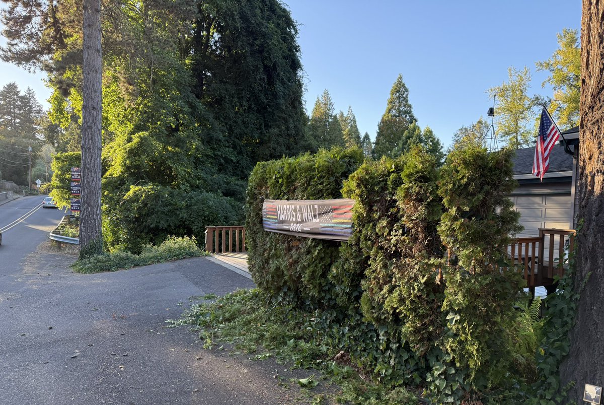 Tugrik, ᠲᠥᠭᠥᠷᠢᠭ, төгрөг, tögrög, ₮ tweet media