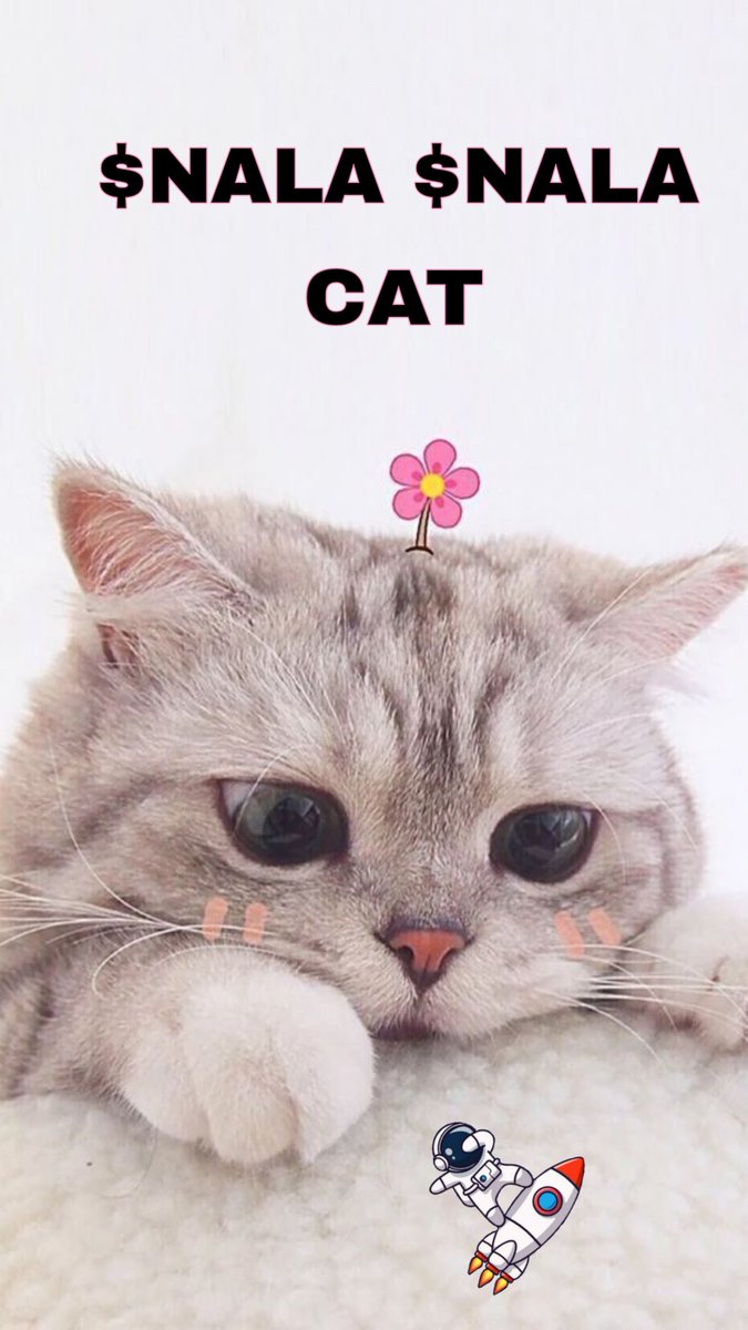 Peloy26585216's tweet photo. @No1InstaCat @IDOsolme Nala goo moon🚀

@pikaso_me screenshoot this
@fauzanalrasyid 
@memdotai mem it

AXFuwB89A7MGQhztMjszUFFGBBPSW85EV2BHdt4sbws5

$NALA $NALA #Airdrops https://t.co/sbcM2FOxDa