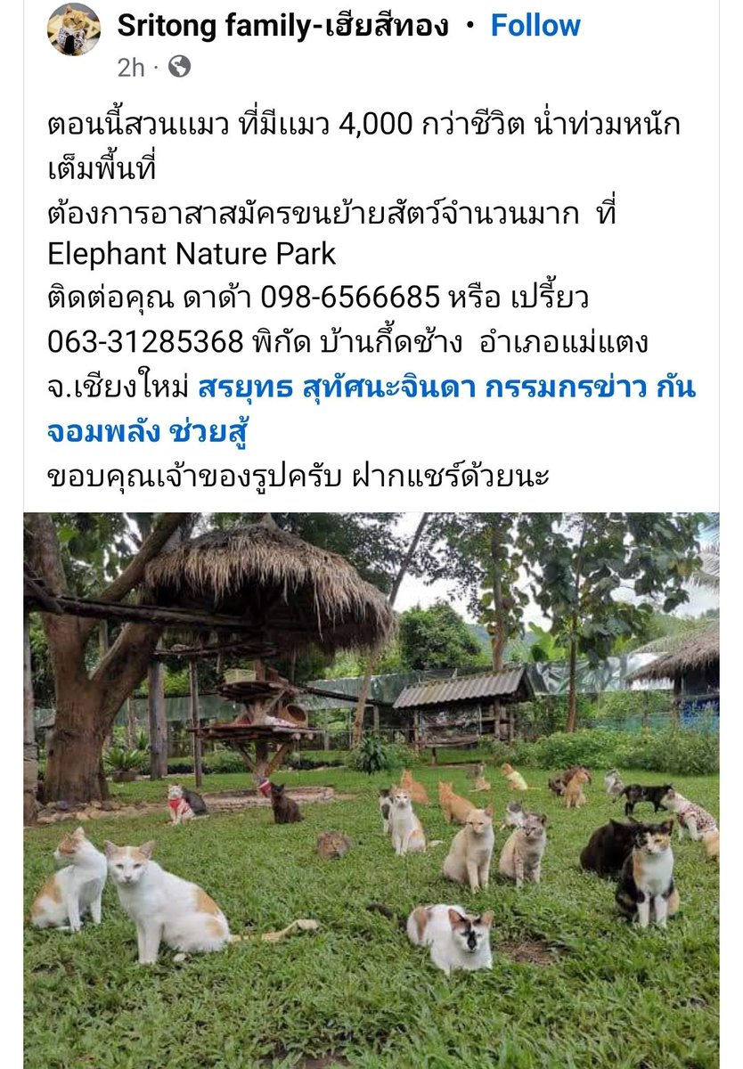 ปลาทูทอดซ่าห้าห้าบวก (@platutodd) on Twitter photo 