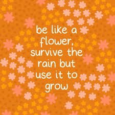 Lizzy Toon tweet media