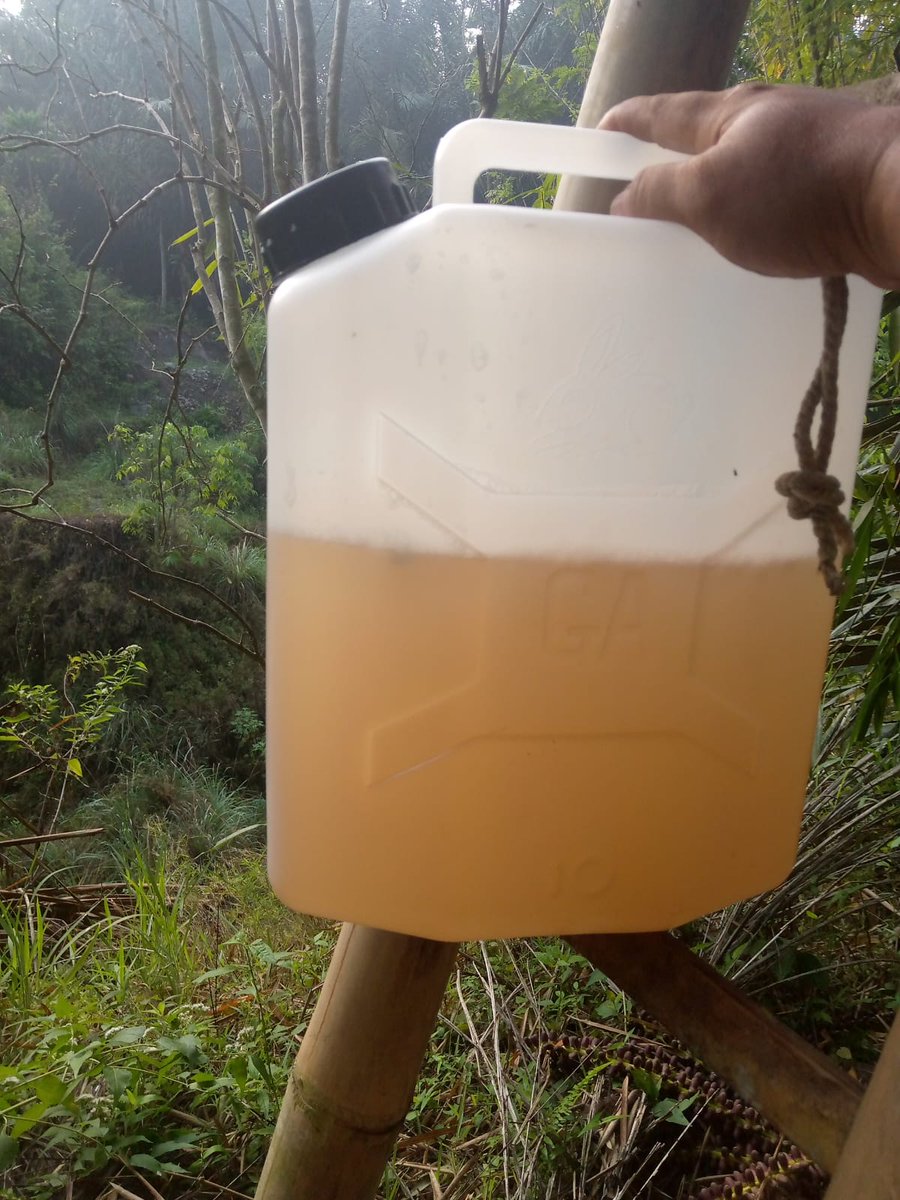 Gagal neng dunyo iseh isoh di jajal maneh , gagal neng akhirat piye le arep mbaleni?

Tetep bersujud arepo Kabeh durung terwujud Jare <a href="/merapi_uncover/">Merapi Uncover</a> 

#gulaarenngondang