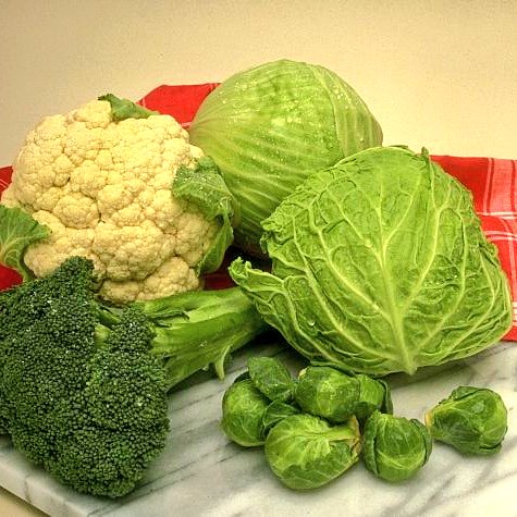 caledelspagesos's tweet image. VERDURES I HORTALISSES DEL MES D'OCTUBRE: albergínia, alls tendres, api, bolets, carbassa, carbassó, col, col de brusel·les, coliflor, endívia, mongeta tendra, moniato, nap, patata, pebrot, porro, tomàquet de penjar.