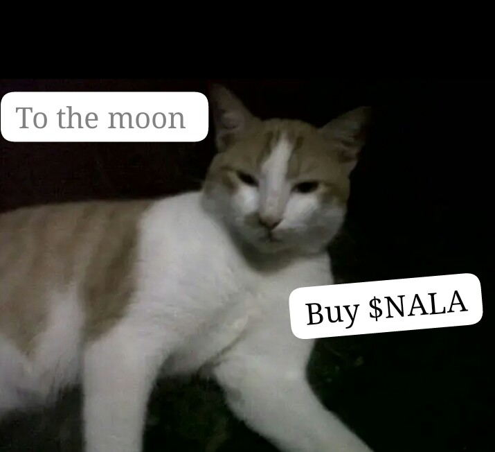 mrfiImoy's tweet image. HwVyb8ut9Jk4bq2VgrxuJdE4URp3zvqNyT9iQ7ND47

@AMuslahudin 
@calestia7726
@CassandraBrant 

#NALA
#SolanaWhale 
#IDOsolme