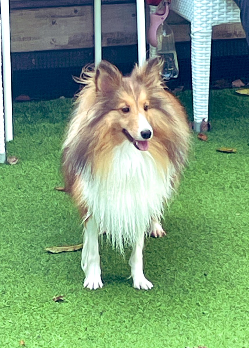 足だけプールに入ったモネちん