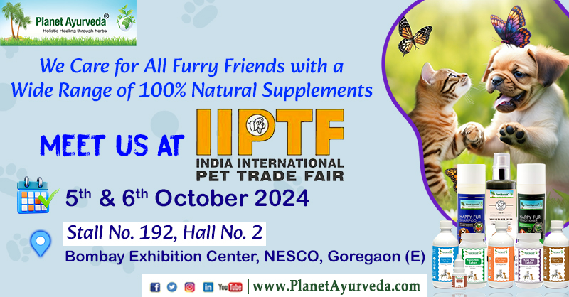 PlanetAyurveda4's tweet image. IIPTF (India International Pet Trade Fair) @Bombay Exhibition Center, NESCO, Goregaon (E) - Meet Us At Stall No. 192 in Hall No. 2 on 5th &amp;amp; 6th October 2024
Shop Now:- t.ly/rpY26
#IIPTF #IndiaInternationalPetTradeFair #BombayExhibitionCenter
