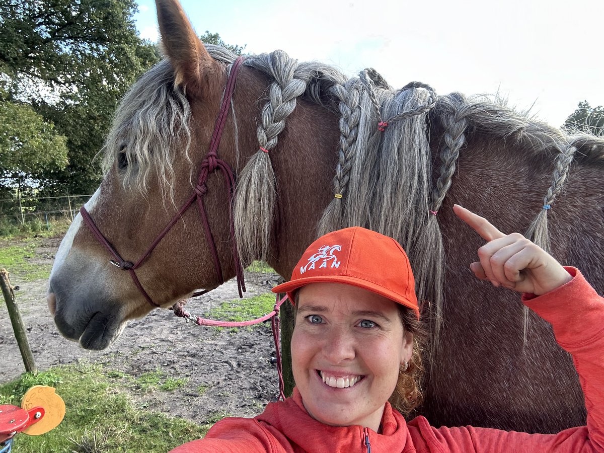 NTT DATA Business Solutions tweet media