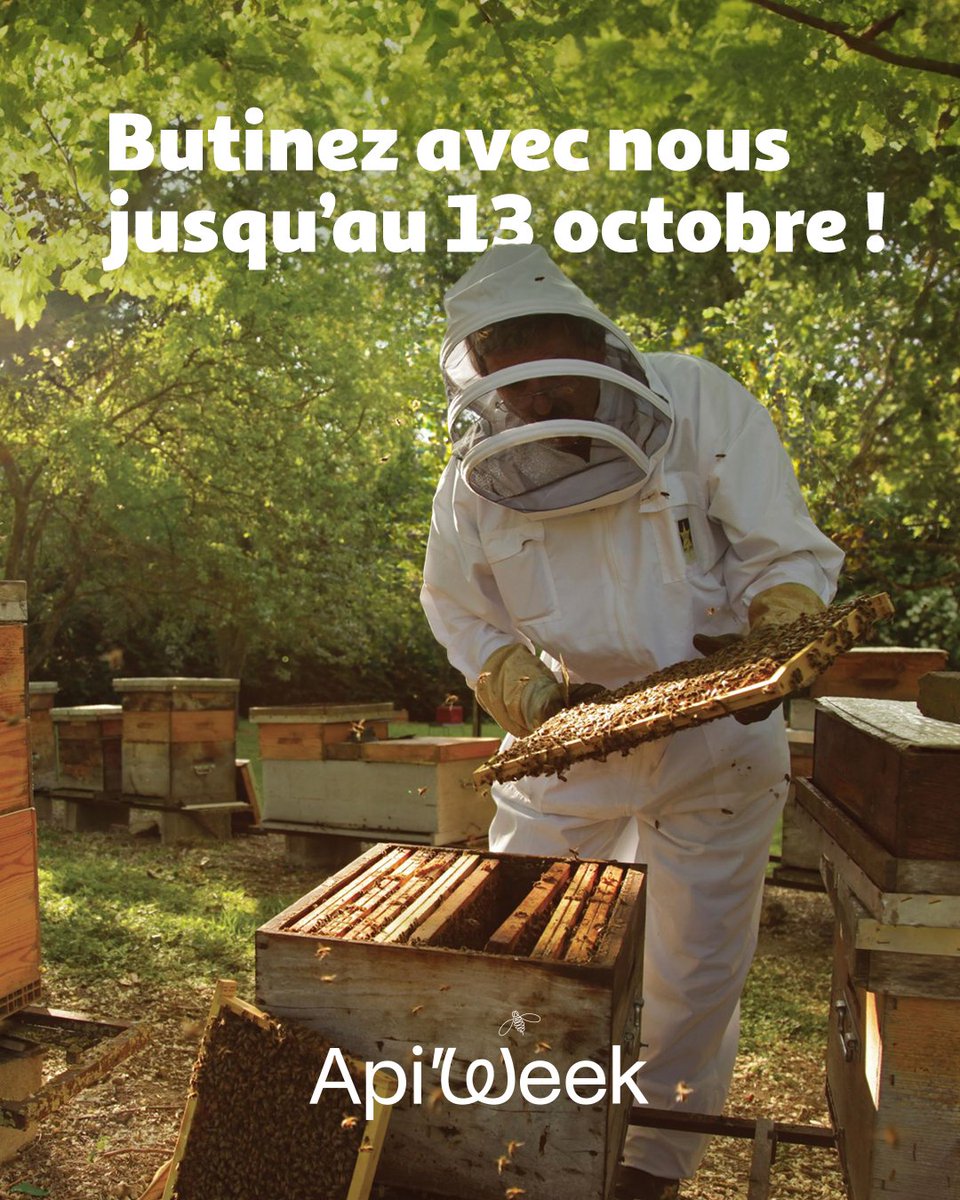 Dès aujourd’hui, c’est l’Api’Week 🐝🎉

"Toute la semaine, découvrez en magasin nos métiers et produits de l'#apiculture.
#Auchan s’engage avec ses 18 miels filière Auchan Cultivons le Bon :

🇫🇷🍯 Soutien aux cultures françaises, aux jeunes apiculteurs, et une juste rémunération.