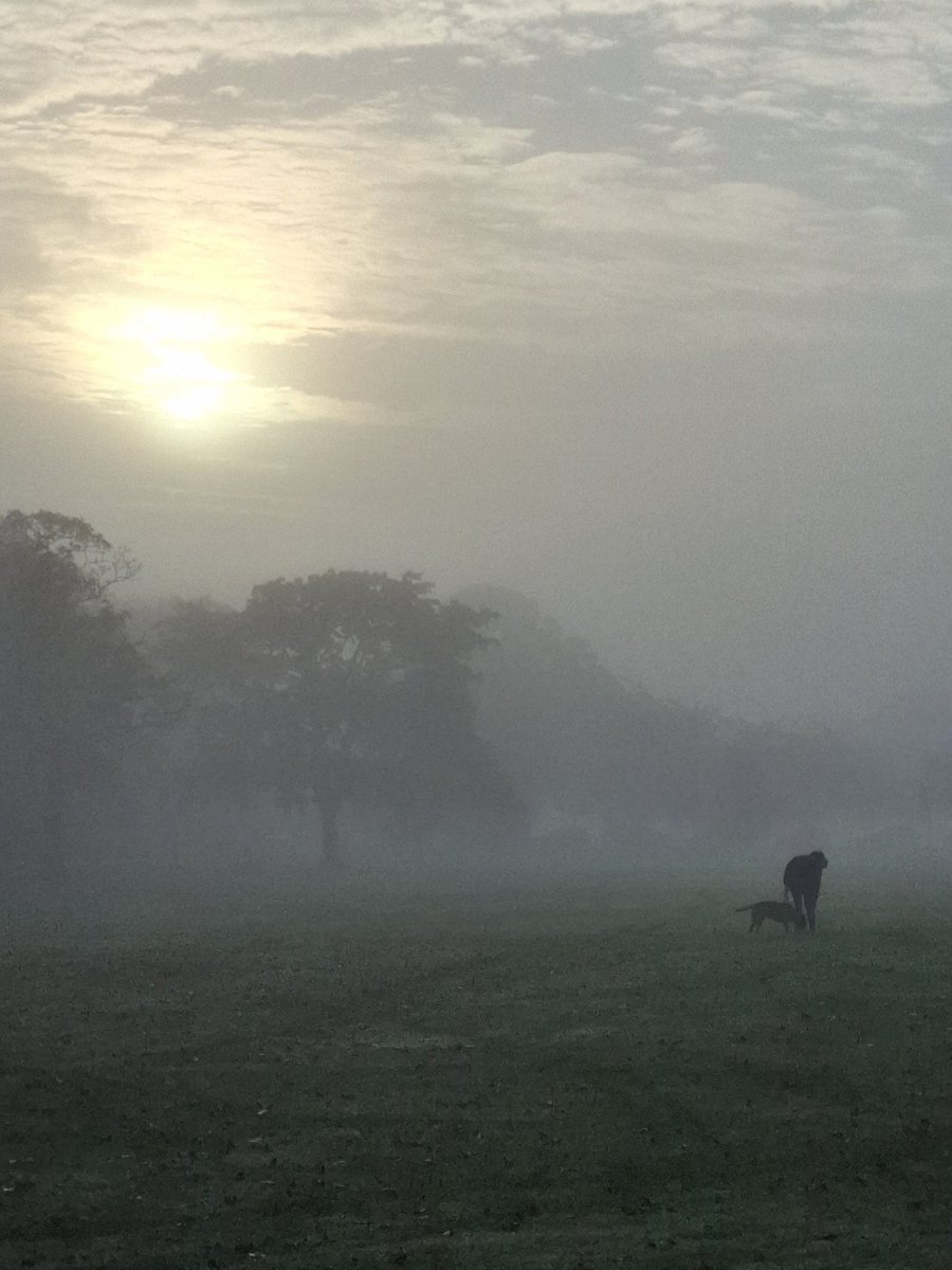 Bit misty this morning in Harrogate.  Beautiful!