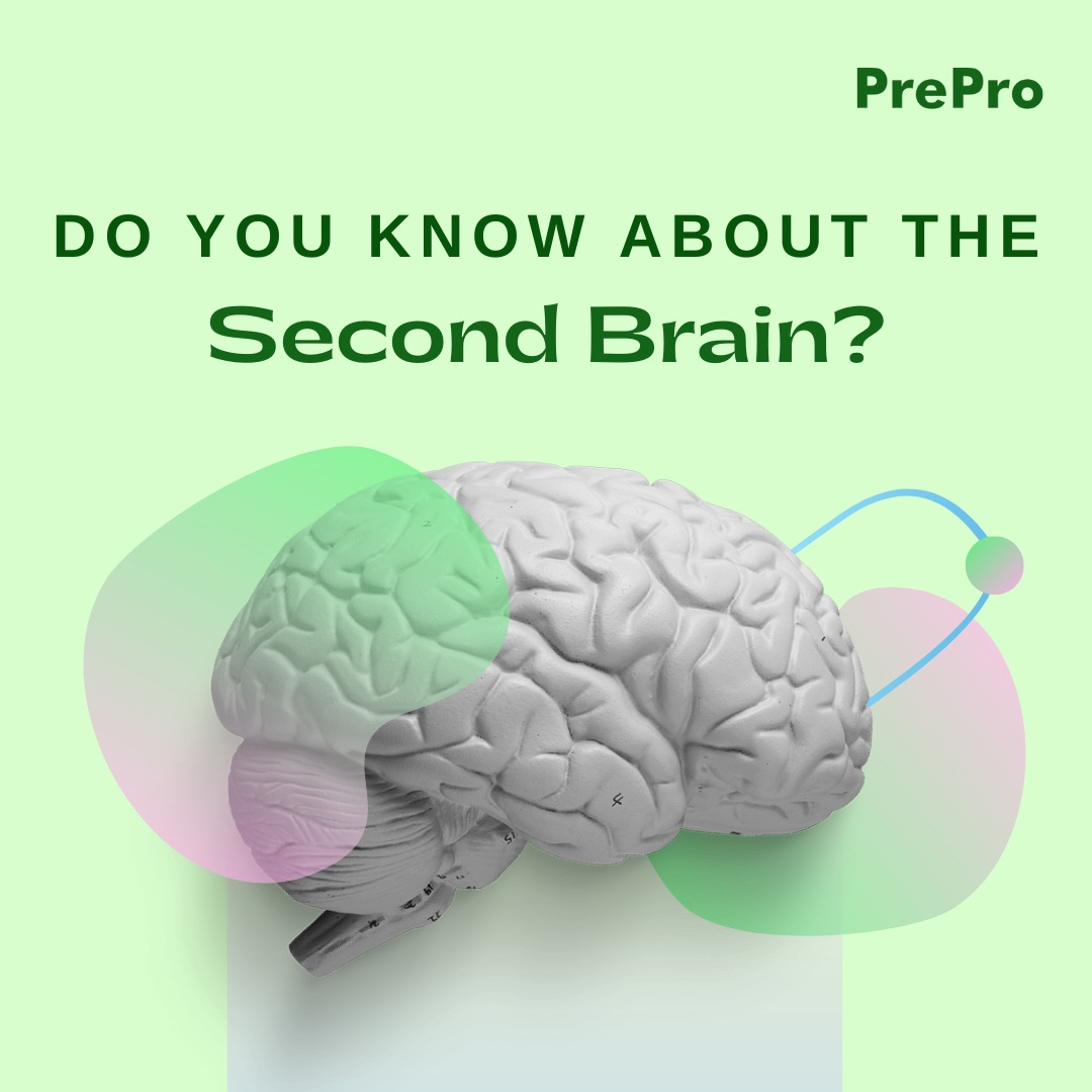 Preprofourrts's tweet photo. Meet your second brain, the Gut Microbiome.
#guthealthmatters #guthealthforlife #guthealthmovement #guthealth #secondbrain #microbiomehealth #GutBrainHealth #gutbrainconnection #goodguthealth #prepro https://t.co/6nNr2jh65N