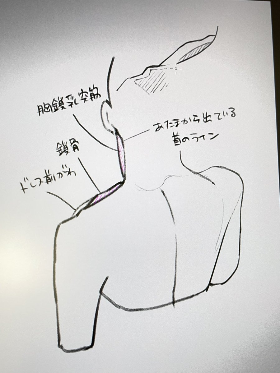 たまたま流れてきた写真がなんか衝撃的だったので…痩せてるとこの位置から鎖骨見えるんだね😳 
