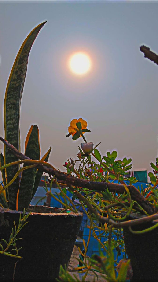 viyogiakhilesh's tweet image. आप अपनी तकदीर के निर्माता हैं..!!

#GoodmorningtTwitterWorld 
#postive