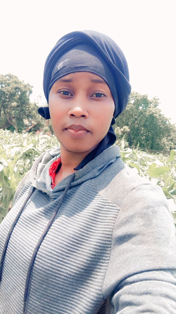 cherifa_zerbo's tweet image. La production de papayer nain, avec un cycle de croissance de 6mois, un rendement de 50 à 120t/ha en 12-18 mois et une production continue sur 3 à 5 ans, offre une rentabilité rapide et durable tout en contribuant à la biodiversité et à la santé des sols.
Intéressé contactez-moi