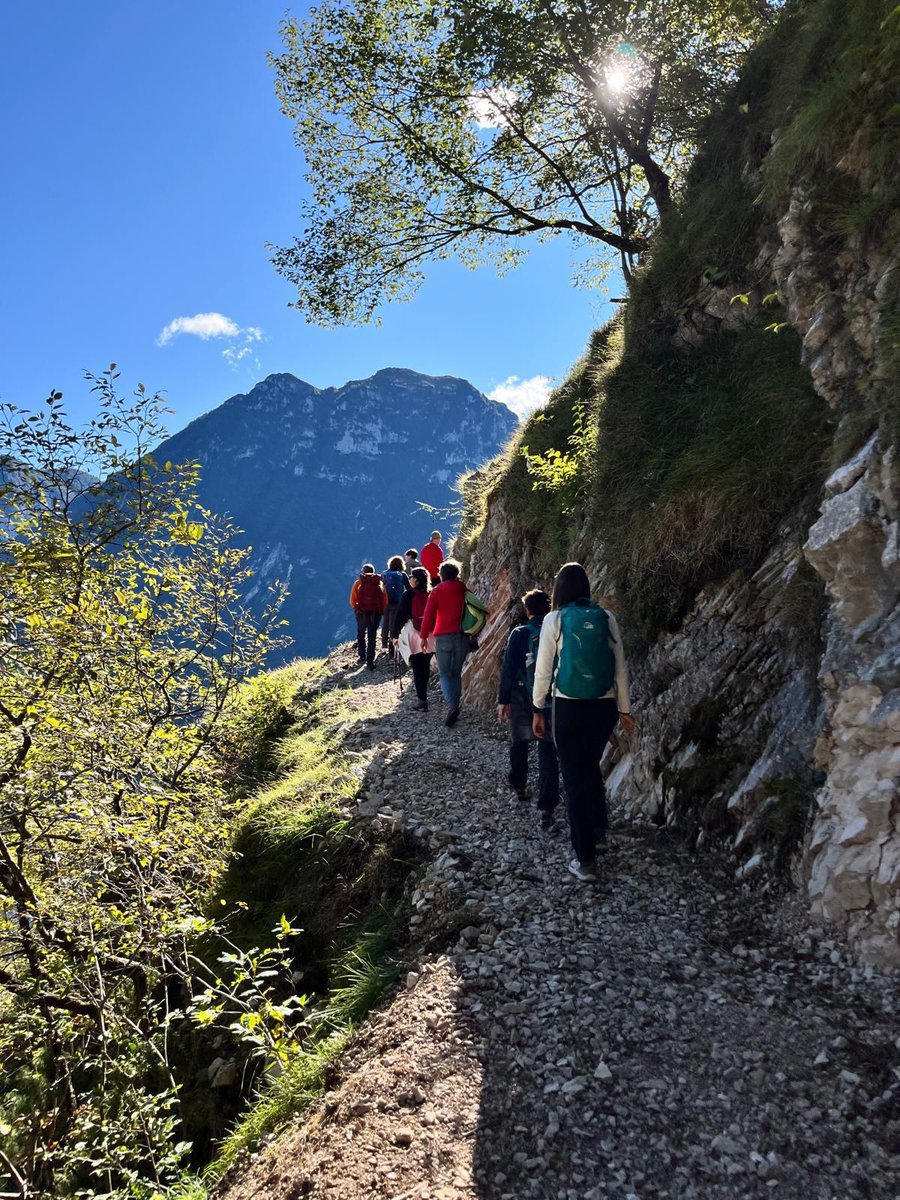 parcoDF's tweet photo. "La montagna in arrivo con la sua magia, osservare la luce che cambia e gli alberi che si colorano pian piano".

*Sul sentiero delle portatrici di carbone 

Ph. 
@ Lisetta Totis
@ Federico Bardelli

#ertoecasso #friuliveneziagiulia https://t.co/S5pHoTSUnK