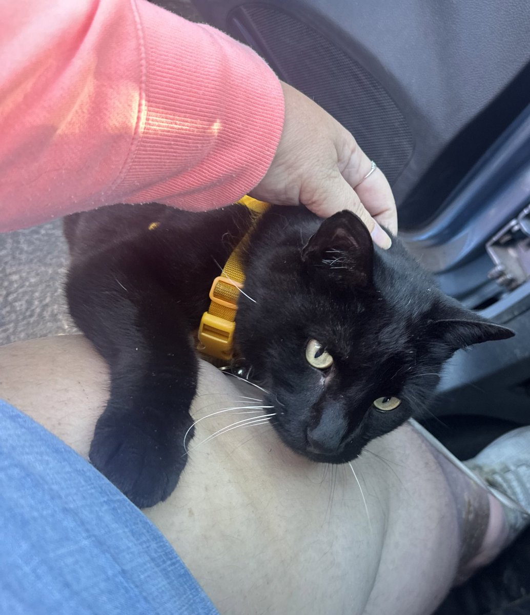 URGENT MUTUAL AID REQUEST

I am too disabled to get up off the floor foam thing I sleep on and have no furniture. 

Please help me find $145 so I can at least order a table and chairs. 

Thank you.

$hellyeahitsflora
Annaadore1219 pypl