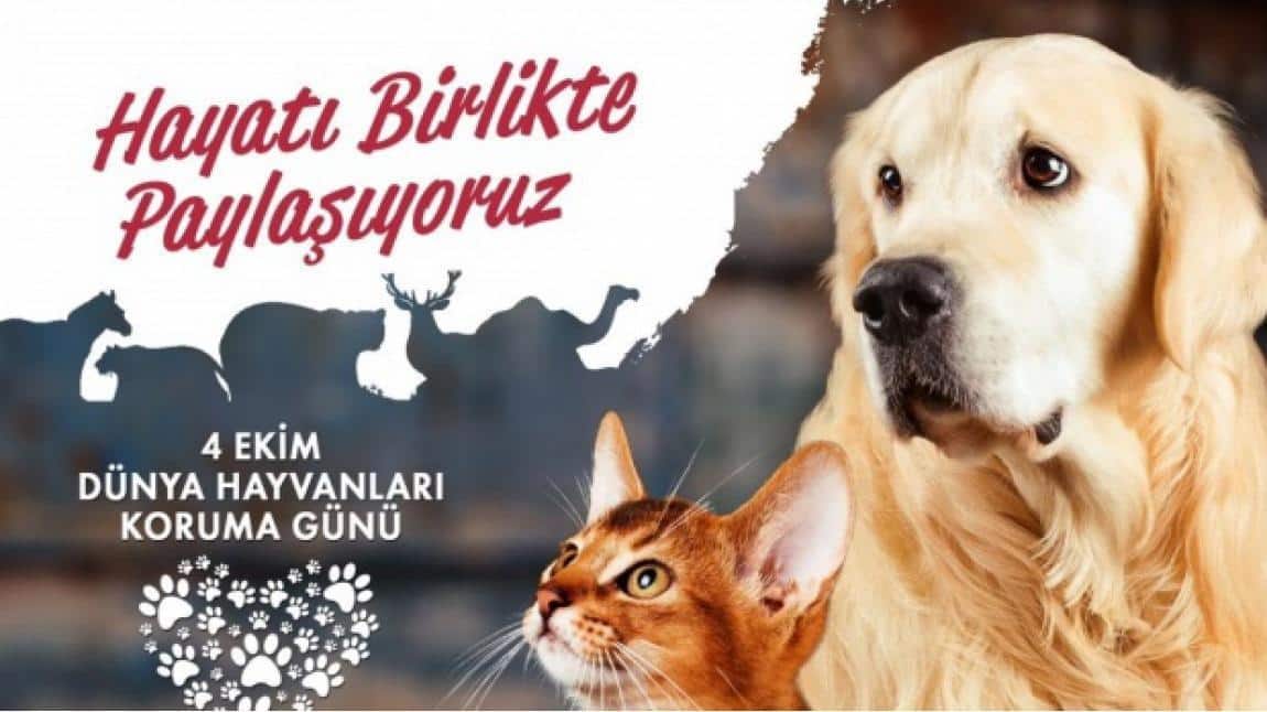 BOZVET's tweet photo. HAYIRLI CUMALAR

Dünya yalnızca insanlara ait değildir.
Karşılıksız sevgileriyle her zaman yanımızda olan dostlarımıza hep sevgiyle yaklaşalım.

4 Ekim Dünya Hayvanları Koruma Günü kutlu olsun. https://t.co/FeGGBzPYwo
