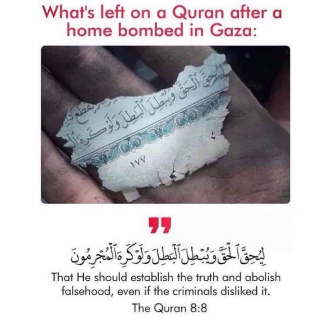 A sign from Allah 🤍