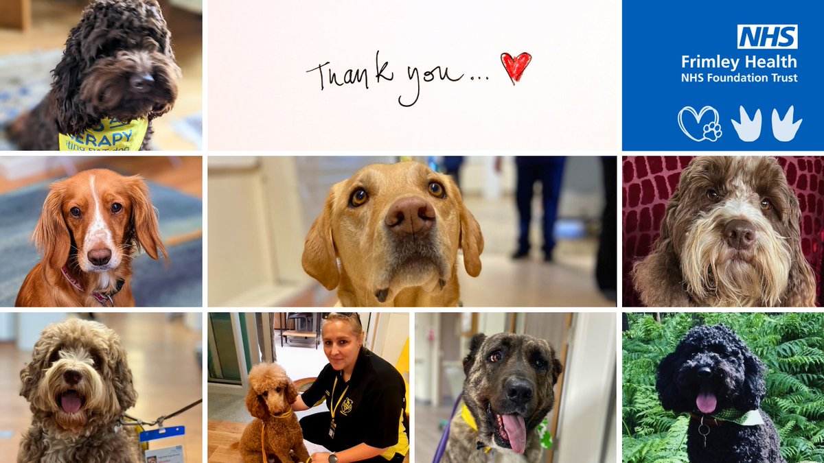 Frimley Health NHS Foundation Trust ๐ (@frimleyhealth) on Twitter photo On this #WorldAnimalDay we thank our 'PAT Pack' - Haggis, Betty, Rocket, Vinnie, Yogi, Oakley, Sheba, & Daisy for their much needed support to our patients, our staff & our visitors with cuddles, strokes, & tail wags!
(and thank you to <a href="/FHFT_Pt_Exp/">Patient Experience</a> & <a href="/PetsAsTherapyUK/">Pets As Therapy</a> ๐ ๐!) On this #WorldAnimalDay we thank our 'PAT Pack' - Haggis, Betty, Rocket, Vinnie, Yogi, Oakley, Sheba, & Daisy for their much needed support to our patients, our staff & our visitors with cuddles, strokes, & tail wags!
(and thank you to <a href="/FHFT_Pt_Exp/">Patient Experience</a> & <a href="/PetsAsTherapyUK/">Pets As Therapy</a> ๐ ๐!)