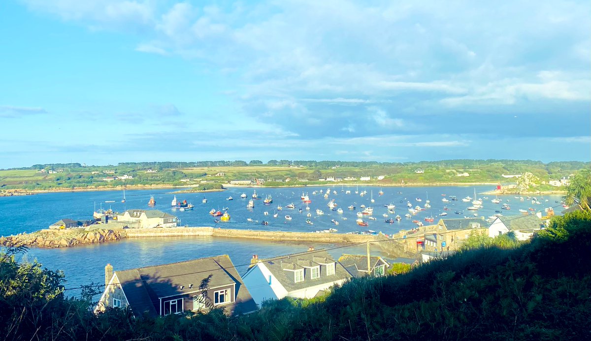 The Chestnut Appeal for Men’s Health tweet media