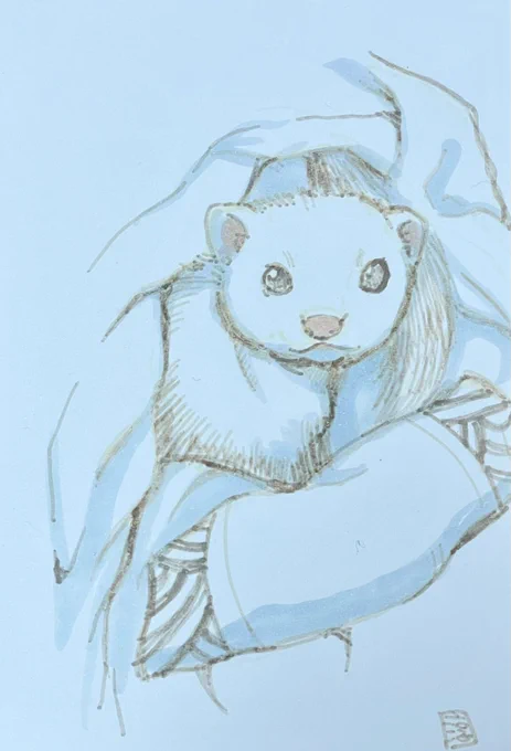 697日目のアナログイラストはフェレットです。ダイソーの猫ちゃん用布団めっちゃ愛用してたんですけど、もう取り扱い無くなっちゃってすごく残念。フェレットも飼い主もお気に入りでした。(ペットの寝具は洗って使うにも限界は人間の物よりずっとずっと早い……) 