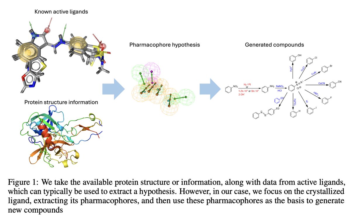 SYNTHFORMER: EQUIVARIANT PHARMACOPHORE-BASED GENERATION OF MOLECULES FOR LIGAND-BASED DRUG DESIGN

• SynthFormer is a groundbreaking model that bridges in silico drug design with real-world synthetic feasibility, addressing a major challenge in generative models for drug