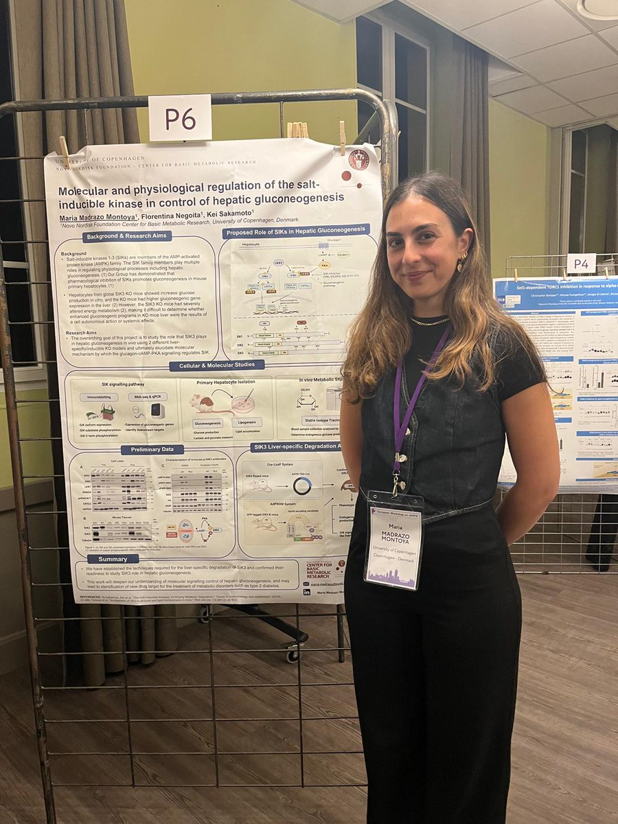 Team Sakamoto was at the #AMPK meeting in Lyon 🇫🇷 this week! They presented their respective research on AMPK regulation &amp; pharmacological targeting &amp; #SIKs 
PhD students Maria, Hongling presented posters &amp; <a href="/shoreseashell/">Conchita</a> gave a talk (that fetched her an award, updates soon!) 1/2