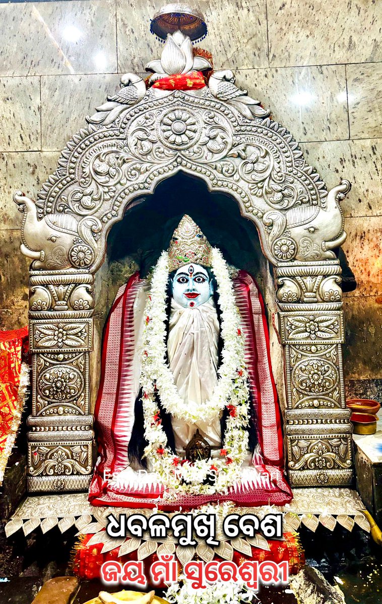 PramodkumarBag3's tweet photo. https://t.co/BrkVxX86Xh