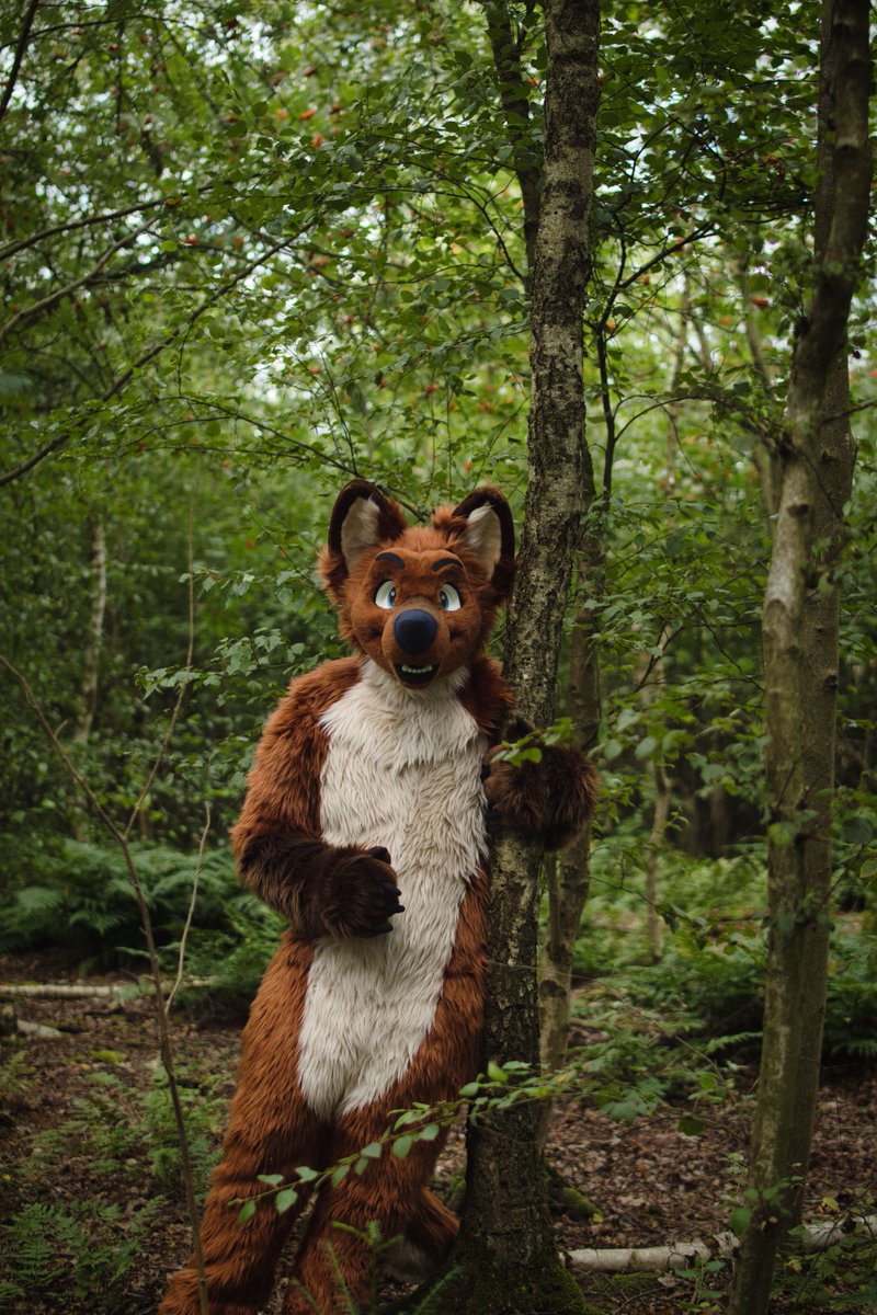 fusky_husky's tweet photo. Look I made a new friend 🌲 
#FursuitFriday 

🪡=@Fur_Delicious 
📷=@FoxGamer4live https://t.co/iDNkV3cZ6r