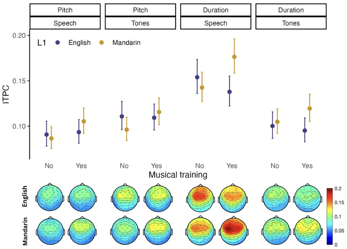 New paper in Imaging Neuroscience by Magdalena Kachlicka, Adam T. Tierney, et al:

Tone language experience enhances dimension-selective attention and subcortical encoding but not cortical entrainment to pitch

doi.org/10.1162/imag_a…