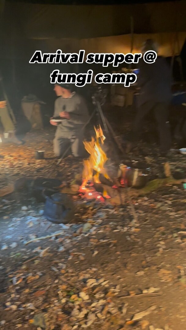 markwildfood's tweet photo. Fungi &amp; bushcraft camp with @wilderness.folkschool is GO!
😁🍄‍🟫🔥��️🌲🍄
#foraging
#wildmushrooms
#fungi
#firecooking 
#wildfood
#perthshire https://t.co/LuZaVeqsai https://t.co/hLrM7eIL3D