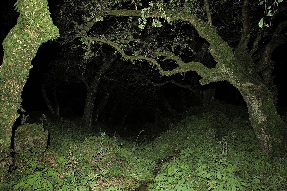 𐬽𐬻𐬽𐬻𐬽 (@eternalfile) on Twitter photo 