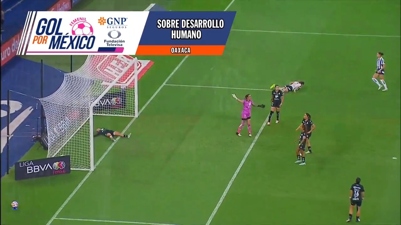 ¡Ganaron las Rayadas y pintaron el Estadio BBVA de azul y blanco! 🏟️Ⓜ️¡No te pierdas el resumen del partido! 📹