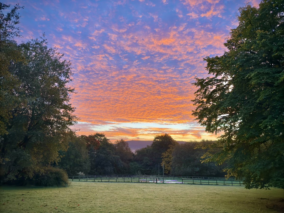 Beautiful start to our final day at <a href="/RealRobinwood/">Robinwood Activity Centre</a>. Three more activities this morning before home time.