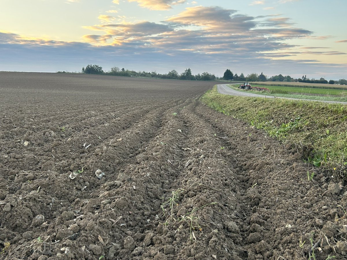 Emmanuel BONNIN tweet media