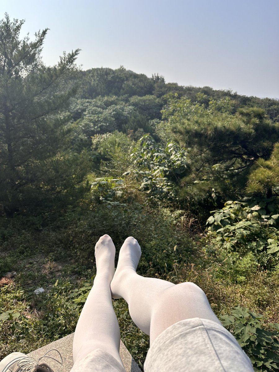 Colinjack8's tweet photo. 北京的秋🍂 https://t.co/ewccUAEi2g