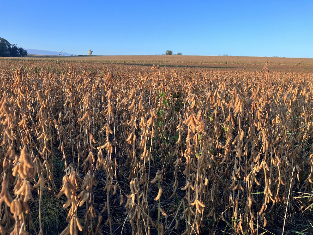 Jonathan Thévenet tweet media