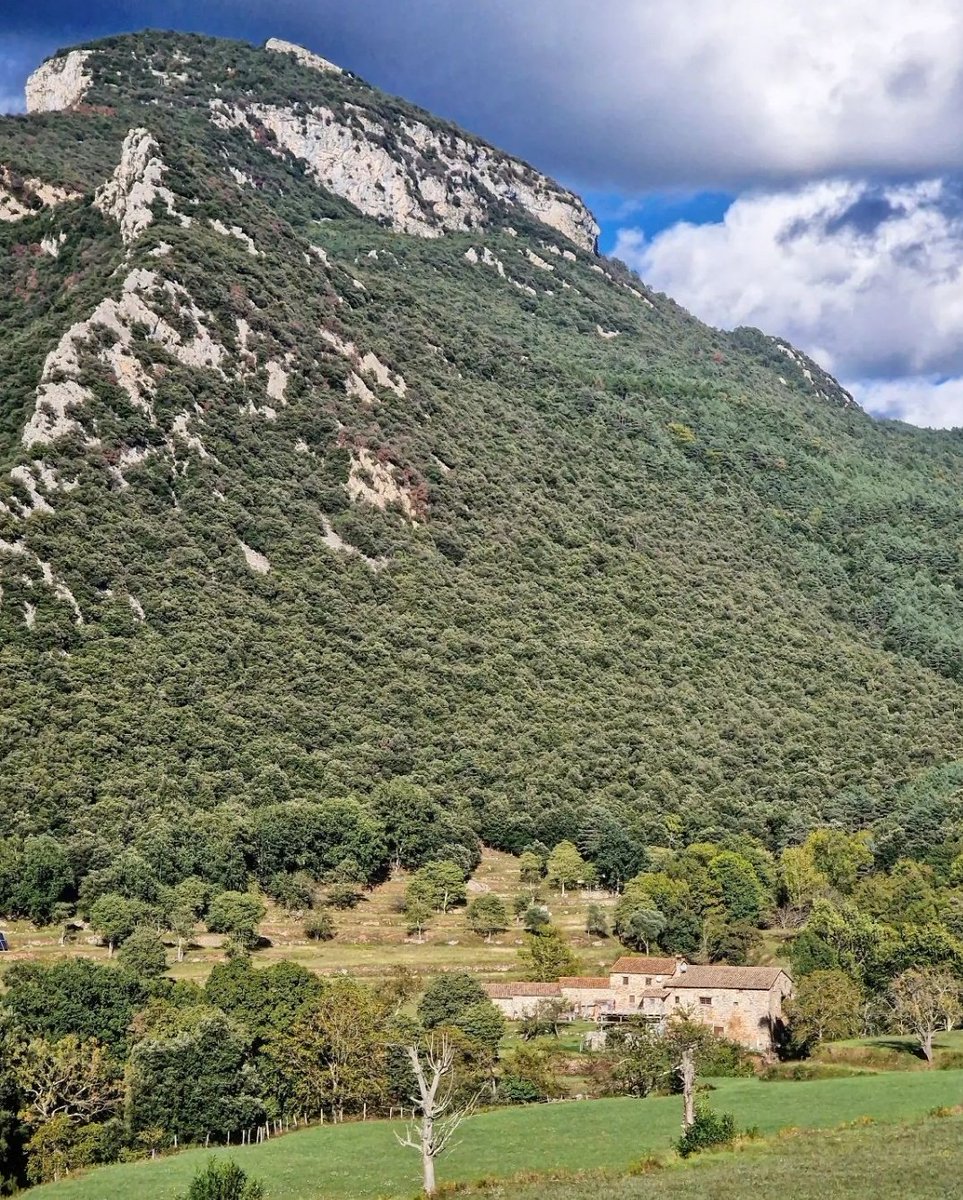 ricardrigall's tweet photo. La vall de Riu. #vallderiu #montagutioix #altagarrotxa #garrotxa #bicicleta #btt #mtb #tardor2024 https://t.co/8YMt7QZ3a0
