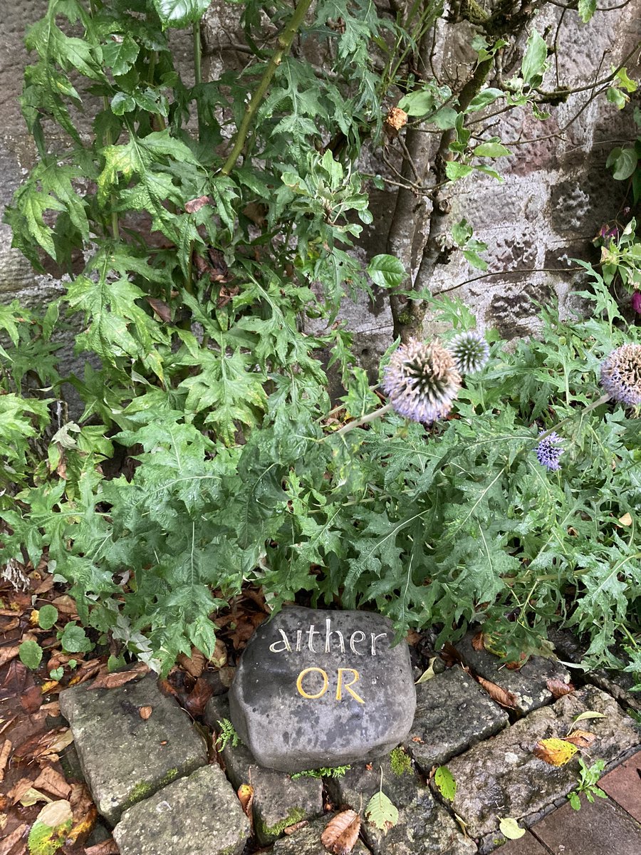 This week in the garden…. #littlesparta