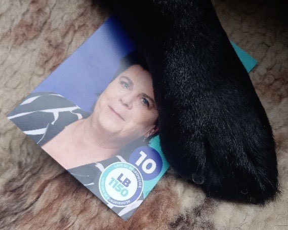 Mocht Vicky mogen stemmen, ze zou mijn bolletje kleuren! (En als je hond vindt dat je de beste bent, vraag dan geen tweede mening. 😊) 
Fijne Werelddierendag! 🐾

#worldanimalday #werelddierendag #journeemondialedesanimaux