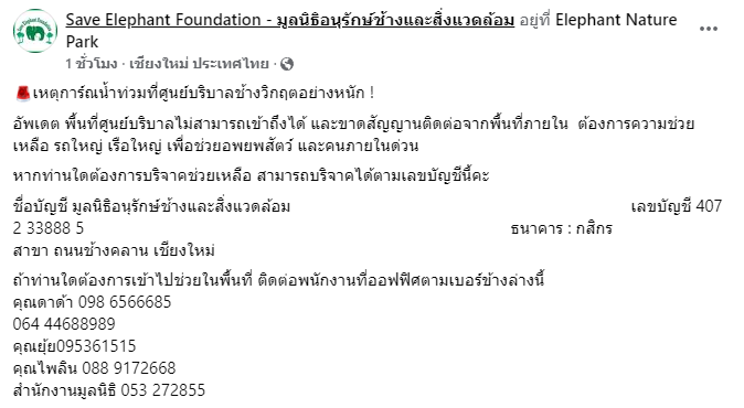 Ifzceezhuang's tweet photo. ด่วน!! มูลนิธิอนุรักษ์ช้างและสิ่งแวดล้อม ต.กื้ดช้าง อ.แม่แตง น้ำท่วมอย่างหนัก ต้องการรถใหญ่ เรือใหญ่ กรงสัตว์ อาหารสัตว์ เพื่อช่วยอพยพน้องช้าง น้องหมา น้องแมว น้องหมู ยังไม่สามารถเข้าไปช่วยเหลือได้จำนวนมาก #น้ําท่วมเชียงใหม่ #ทาสหมา #ทาสแมว https://t.co/9BlJUuKqna