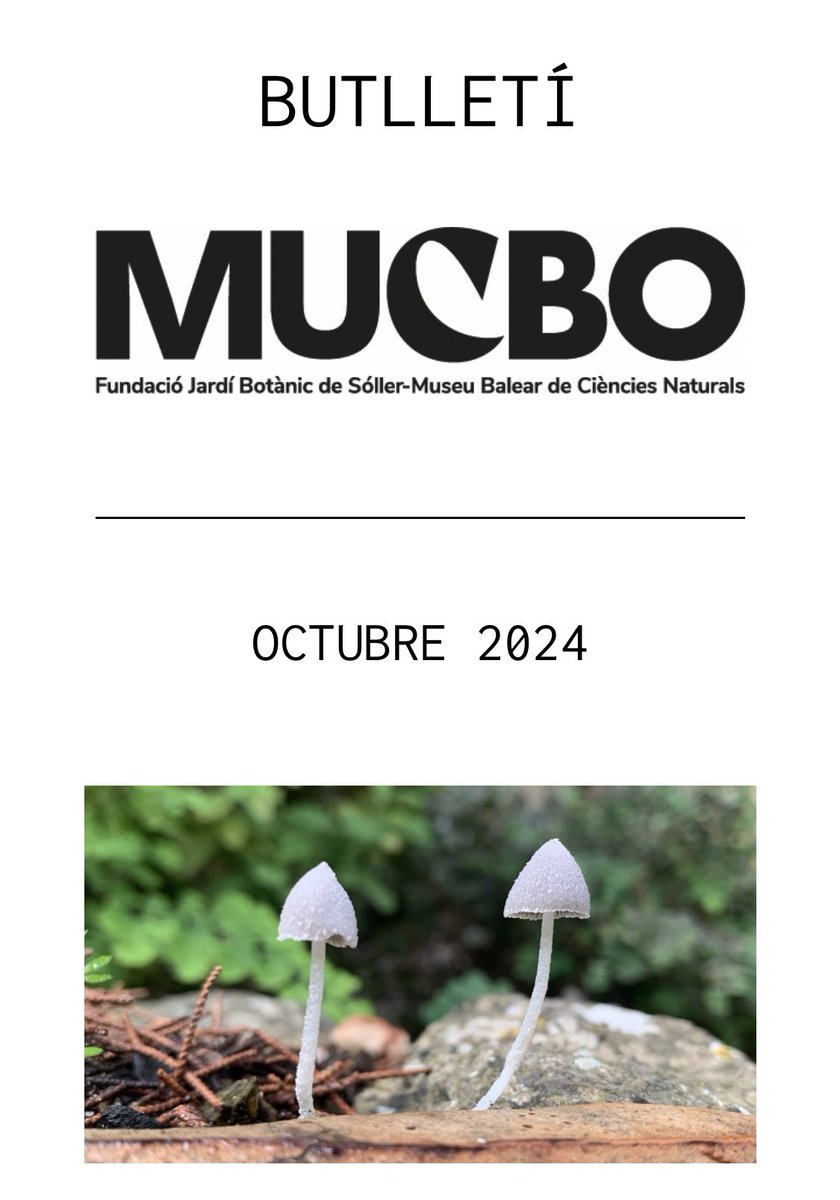 Ja hem publicat el Butlletí del MUCBO! Pots llegir-ho aquí: 3wgtc.r.sp1-brevo.net/mk/mr/sh/OycXx…