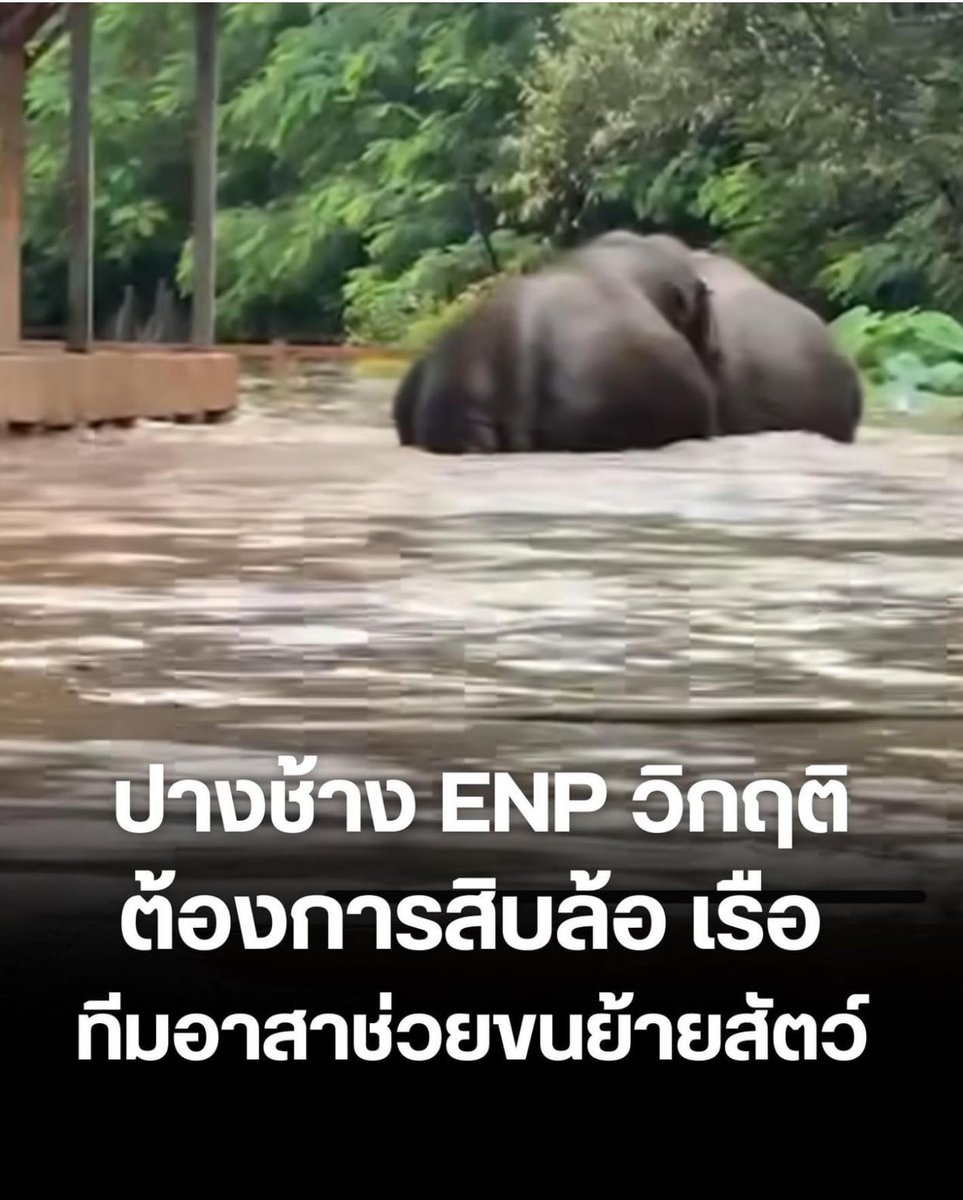 Srithong Uayprasert tweet media