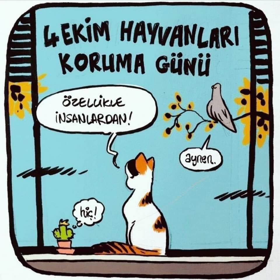 Bugün 4 ekim hayvanları İNSANLARDAN koruma günü.